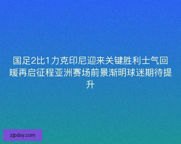 国足2比1力克印尼迎来关键胜利士气回暖再启征程亚洲赛场前景渐明球迷期待提升
